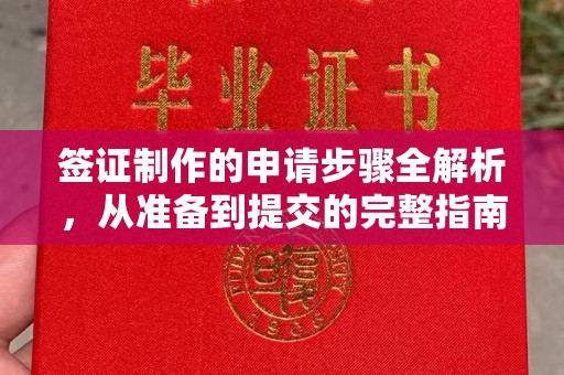 汤旺河签证制作的申请步骤全解析，从准备到提交的完整指南