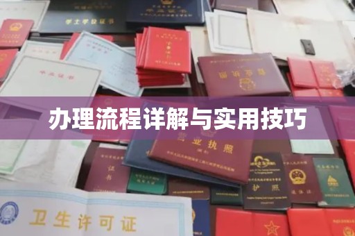 汤旺河办理流程详解与实用技巧