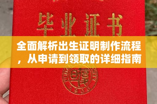 汤旺河全面解析出生证明制作流程，从申请到领取的详细指南