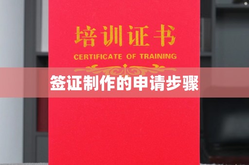 汤旺河签证制作的申请步骤