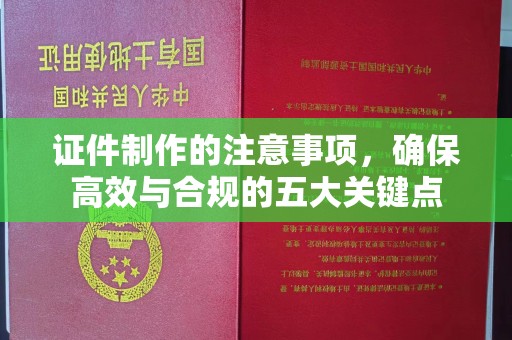 汤旺河证件制作的注意事项，确保高效与合规的五大关键点