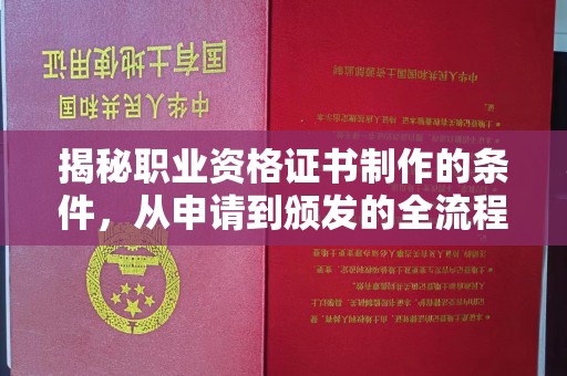 汤旺河揭秘职业资格证书制作的条件，从申请到颁发的全流程解析