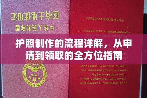 汤旺河护照制作的流程详解，从申请到领取的全方位指南